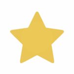 Gold Star Applique