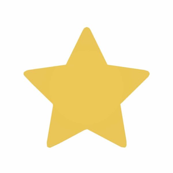Gold Star Applique