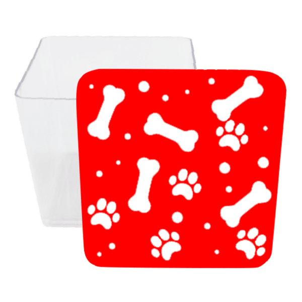 Bone and Paw Acrylic Box 5x5cm